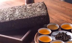 茯茶产业发展前景及投资价值评估