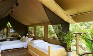 2022帐篷酒店发展前景及投资分析