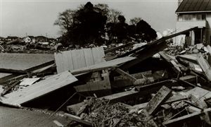 2022年纪录片行业发展趋势及市场未来走向调查分析