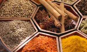 中国调味品行业现状及发展趋势分析