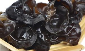 黑木耳行业发展现状分析 立体化绿色有机栽培成为主流