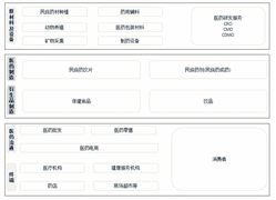 2022民族药剂市场调研 民族药剂行业前景及现状分析报告