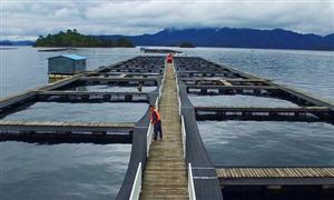 特种养殖行业适合怎样的发展模式 特种养殖市场前景2022