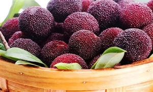 2022年杨梅行业发展前景及市场需求分析