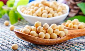 大豆蛋白产业市场需求及发展空间分析