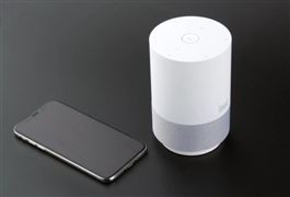 2022中国智能音箱品牌格局及行业前景调查