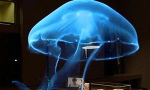 2022年全息投影行业现状及发展前景分析