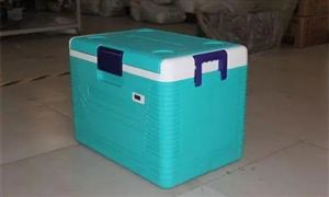 2022年冷链箱行业现状及发展前景分析