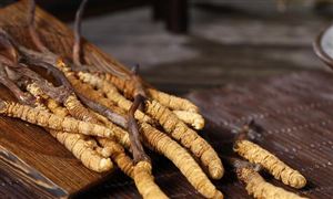 7名村民上山挖虫草遭雷击身亡 我国冬虫夏草资源生长情况分析