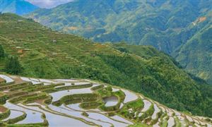 农业旅游行业分析 2022农业旅游行业发展机遇分析