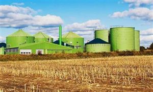 我国积极推进先进生物燃料应用 以生物质能为代表的生物能源进展缓慢