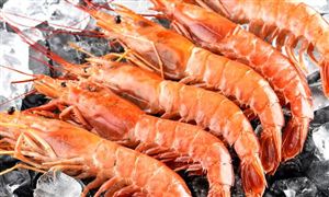 冷冻食品市场规模将突破1900亿元 冷冻食品市场现状分析