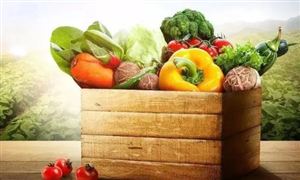 推进农产品仓储保鲜冷链物流设施建设 冷链物流行业市场发展预测