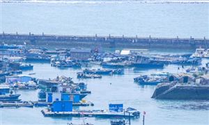 2022油气储运行业分析 油气储运行业前景及现状分析