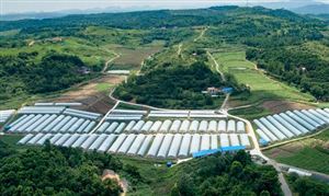 中国休闲农业与乡村旅游行业市场发展方向及前景分析