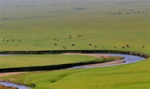 2022年中国畜牧业产量及市场需求分析