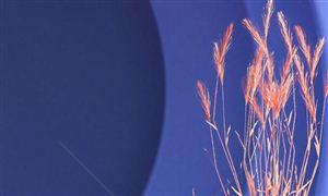 跨境电商行业市场前景如何?跨境电商行业市场环境分析