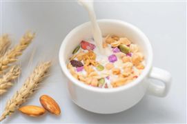 2022全球燕麦奶市场规模和发展态势研究