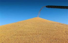 2022中国粮食产量规模与市场价格指数分析