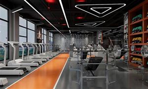 2022年健身房行业发展趋势及市场前景调研分析