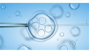 辅助生殖技术纳入医保 辅助生殖市场空间超千亿