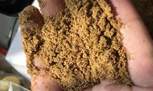 生物饲料行业市场调研 生物饲料行业发展前景预测