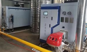 2022年蒸汽发生器行业现状及发展前景分析