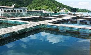 2022年水产养殖行业发展前景预测及市场调研分析