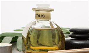 丁香罗勒市场现状及前景分析2022