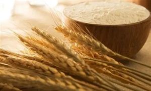 加大粮食绿色高效烘干投入 未来我国粮食行业发展趋势预测