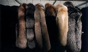 2022年皮草行业现状及发展前景分析