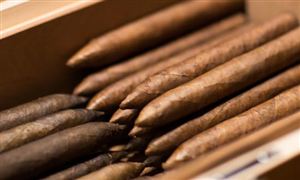 雪茄市场怎么样？雪茄行业前景分析2022