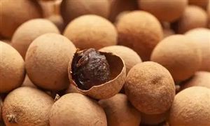 2022年龙眼行业现状及发展前景分析