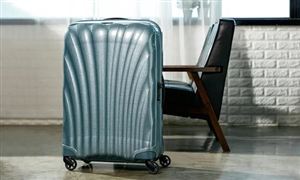 2022年行李箱行业发展前景及市场需求调查分析