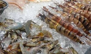 食品冷链行业市场调研 食品冷链行业发展前景预测