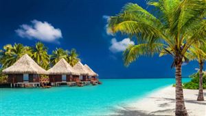 2022国内旅游服务预订现状与市场未来发展前景调研