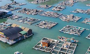 海洋牧场发展现状及未来 海洋牧场市场调研报告2022