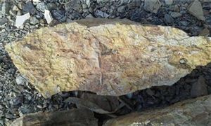 国内稀土价格分析 稀土行业发展前景分析