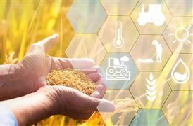 2022中国农业保险行业发展战略与市场潜力研究