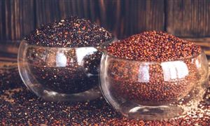 全球与中国超级食品行业市场需求及发展趋势分析