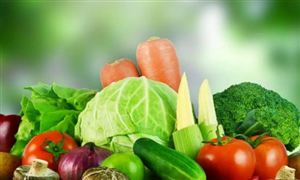 2022年蔬菜育苗行业现状及发展前景分析