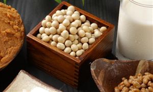 纳豆市场现状及前景分析2022