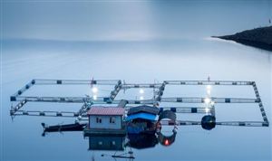 水产养殖行业市场调研 水产养殖技术向绿色高质量发展