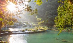 新冠疫情重击下生态旅游业发展如何 2022年中国生态旅游行业市场现状分析