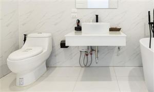 宅经济下2022智能马桶市场发展现状与供需格局分析