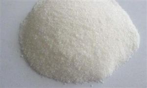 中国甘氨酸市场及投资前景分析