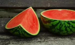 中国西瓜市场及投资前景分析