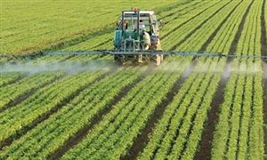 中国高效农业行业市场发展与投资趋势分析