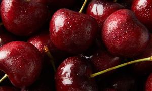 2022车厘子行业产量集中情况及车厘子市场分析