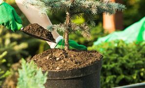 新型肥料产业发展战略方向与市场需求分析